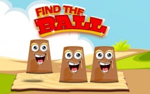 Hidden Ball Tracking Puzzle