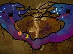 The White Bird Puzzle Game