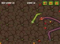 Snake Attack Online Arcade Game