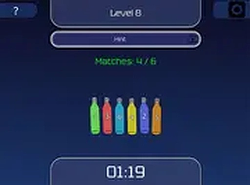 Place the Bottles Puzzle Game