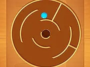 Spiny Maze Puzzle Online Game