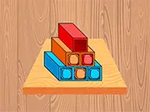 Sort Games Challenge Puzzle Game