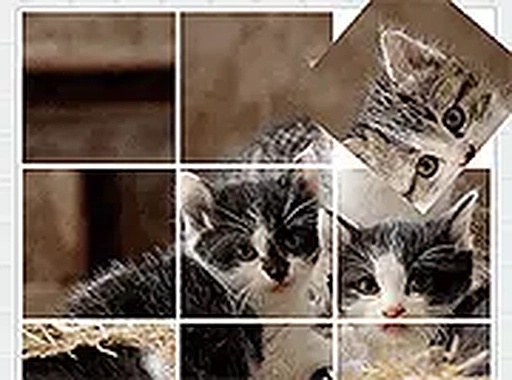 Rotate Puzzle: Cats and Dogs Online Game
