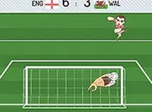 Soccer Shot Stopper